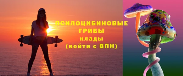 дживик Алагир