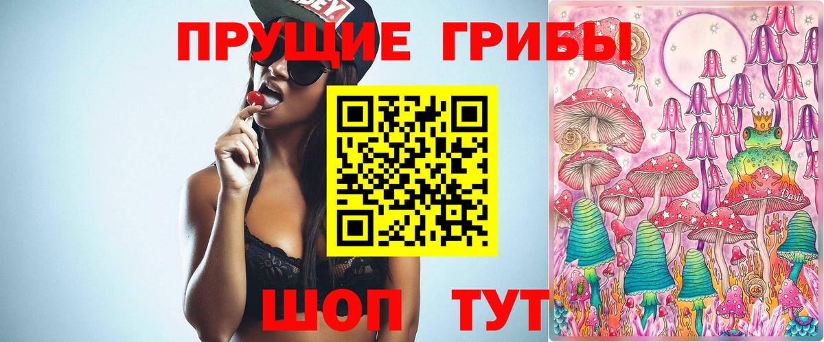 Галлюциногенные грибы GOLDEN TEACHER  Галлюциногенные грибы Cubensis  закладка  Дальнереченск  Вход с VPN 